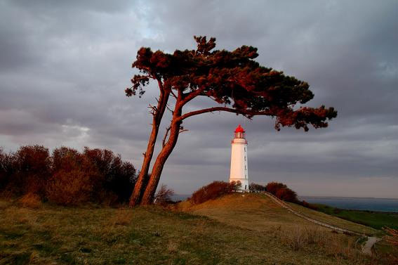 Siegerfoto 2009